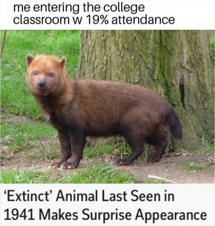 50 Memes That Hilariously Sum Up Student Life 50 Memes That Hilariously Sum Up Student Life