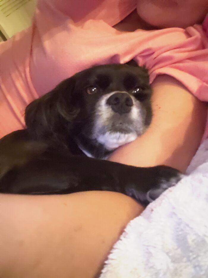 Hey Pandas, Post A Picture Of Your Dog (Closed) Hey Pandas, Post A Picture Of Your Dog (Closed)