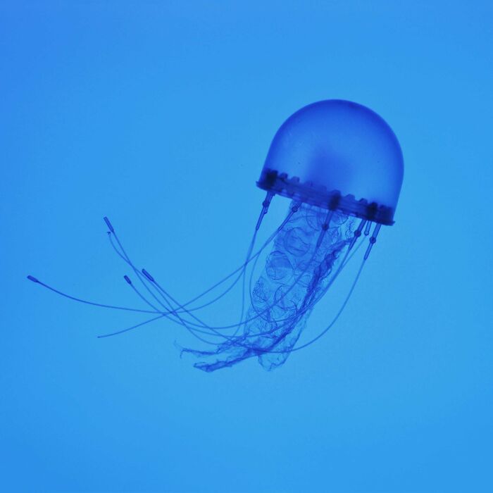 I Combine Everyday Items To Create Clever Illustrations (59 Pics)