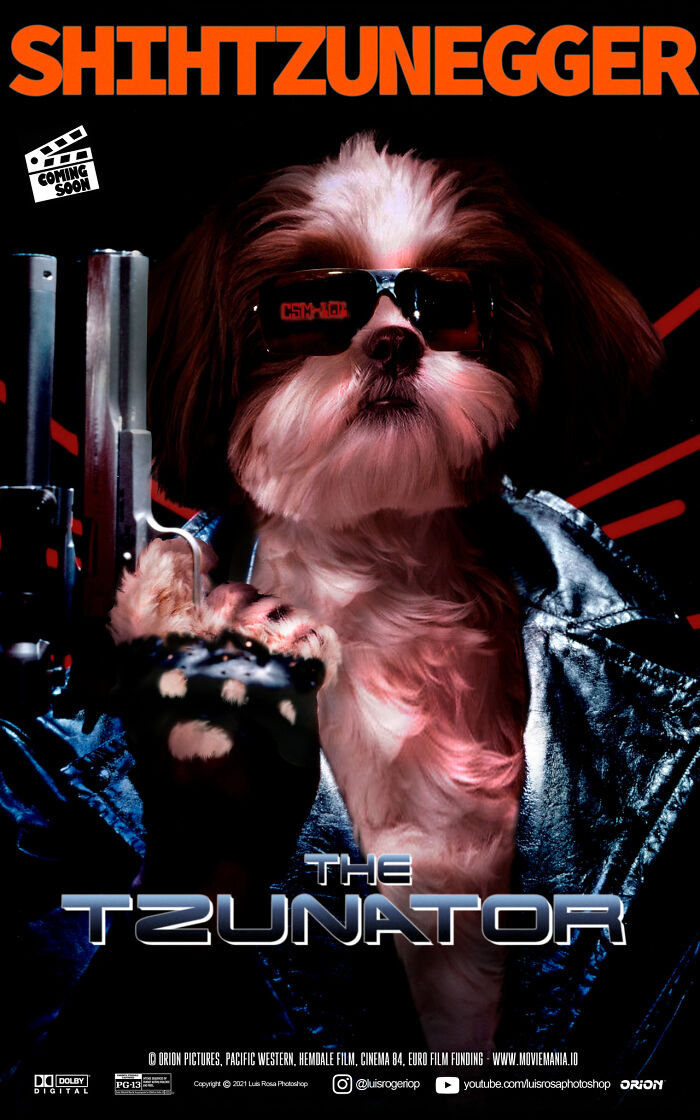 Artist Recreates Movie Posters And Replaces Actors With Cats And Dogs (19 Pics) Artist Recreates Movie Posters And Replaces Actors With Cats And Dogs (19 Pics)