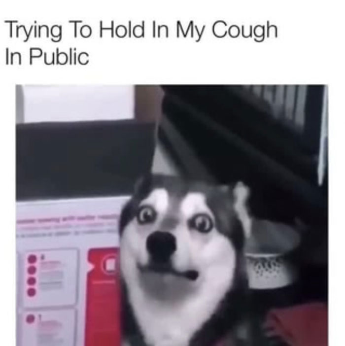 Hey Pandas, Share Some Of Your Favorite COVID-19 Memes (Closed) Hey Pandas, Share Some Of Your Favorite COVID-19 Memes (Closed)