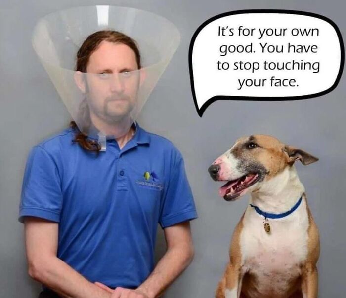 Hey Pandas, Share Some Of Your Favorite COVID-19 Memes (Closed) Hey Pandas, Share Some Of Your Favorite COVID-19 Memes (Closed)