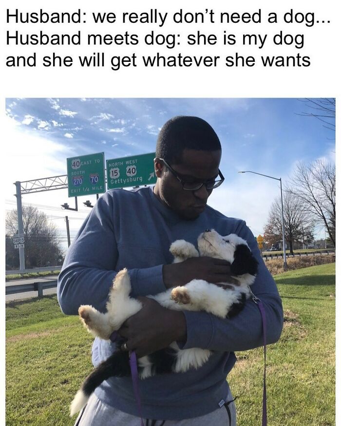 50 Uplifting Dog Posts To Make Your Day Better (New Pics) 50 Uplifting Dog Posts To Make Your Day Better (New Pics)