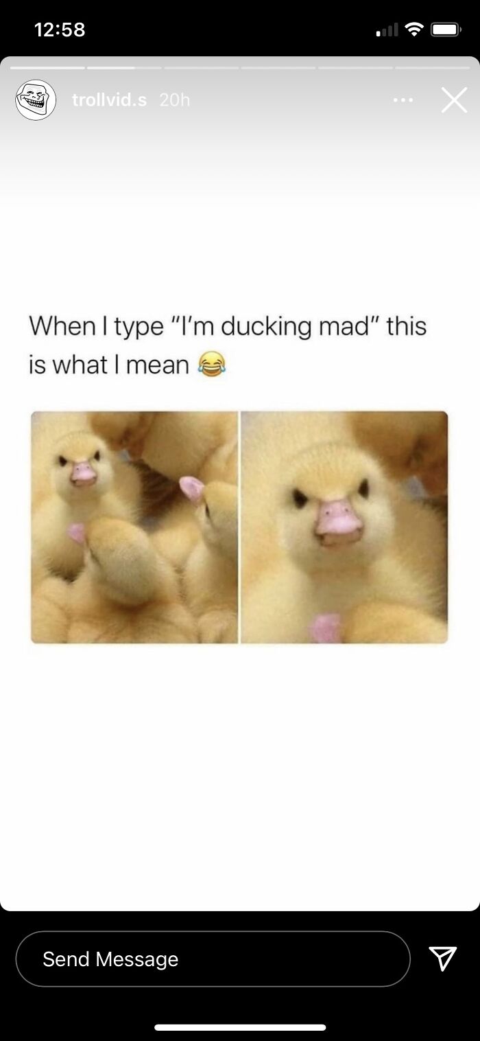 Hey Pandas, Drop Some Memes (Closed) Hey Pandas, Drop Some Memes (Closed)