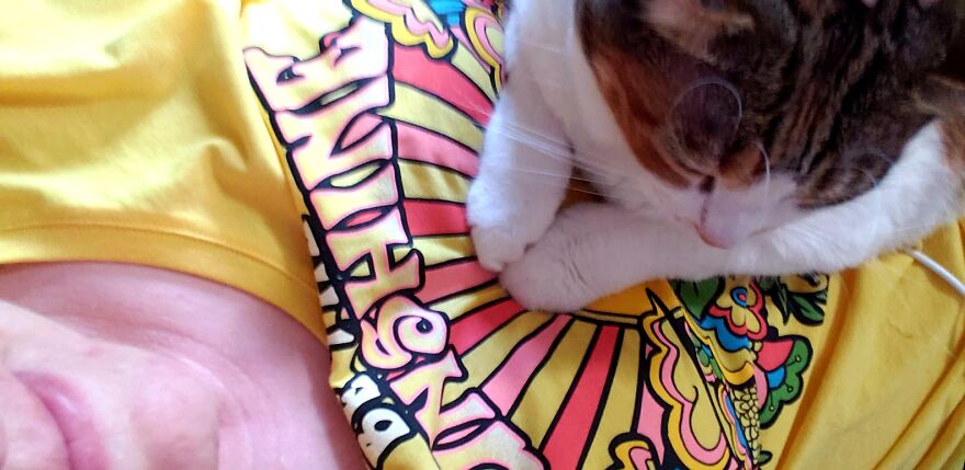 Hey Pandas, Post The 10th Picture In Your Camera Roll (Closed) Hey Pandas, Post The 10th Picture In Your Camera Roll (Closed)