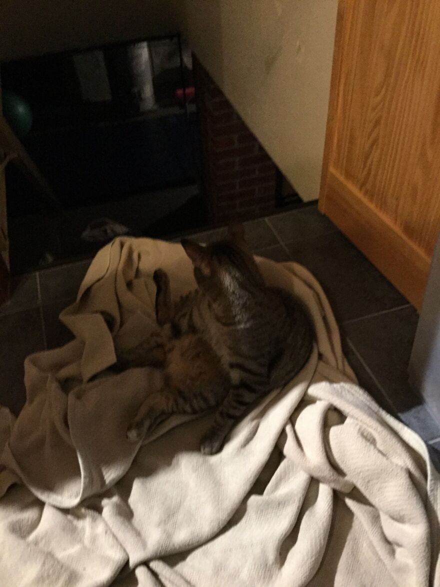 Hey Pandas, Post The 10th Picture In Your Camera Roll (Closed) Hey Pandas, Post The 10th Picture In Your Camera Roll (Closed)