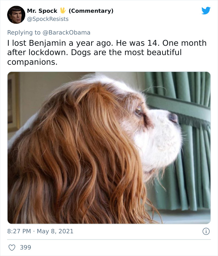 President Obama Shares Heart-Wrenching Tribute To Honor His Late Doggo And The Internet’s Crying With Him President Obama Shares Heart-Wrenching Tribute To Honor His Late Doggo And The Internet’s Crying With Him