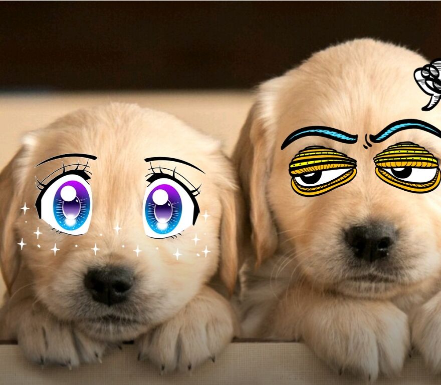 Hey Pandas, Photoshop These Puppies (Closed)