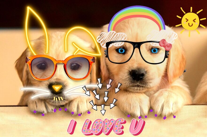 Hey Pandas, Photoshop These Puppies (Closed)