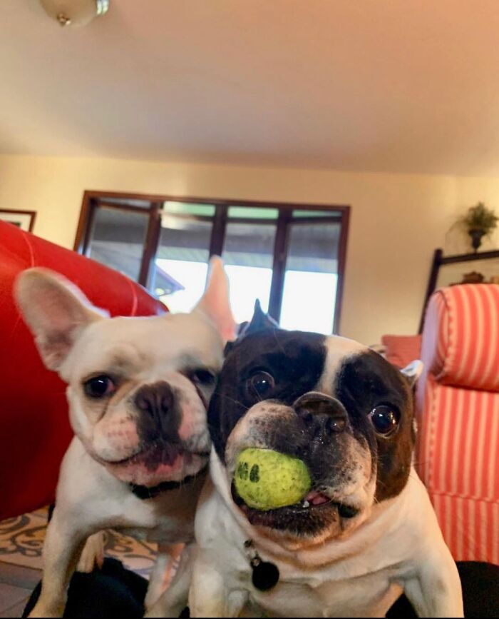 Hey Pandas, Share The Funniest Photo You Can Find (Closed) Hey Pandas, Share The Funniest Photo You Can Find (Closed)