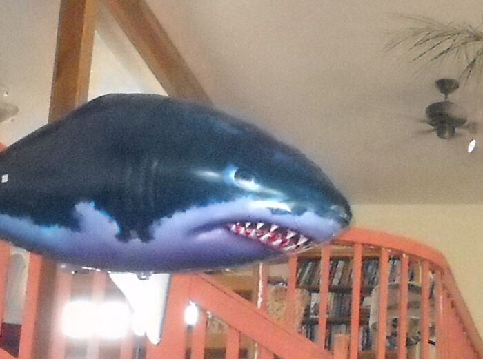 Hey Pandas, Share The Funniest Photo You Can Find (Closed) Hey Pandas, Share The Funniest Photo You Can Find (Closed)