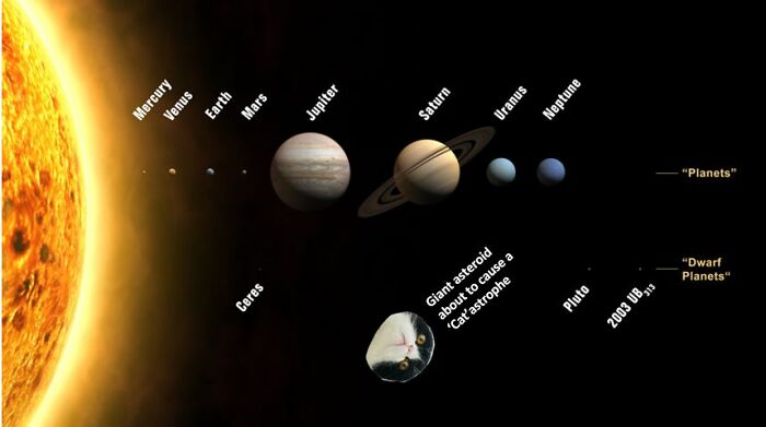 Hey Pandas, Photoshop This Cat (Closed) Hey Pandas, Photoshop This Cat (Closed)