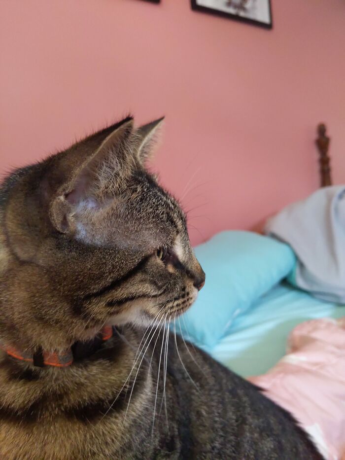 Hey Pandas, Post Your Best Picture From Your Photo Album (Closed) Hey Pandas, Post Your Best Picture From Your Photo Album (Closed)