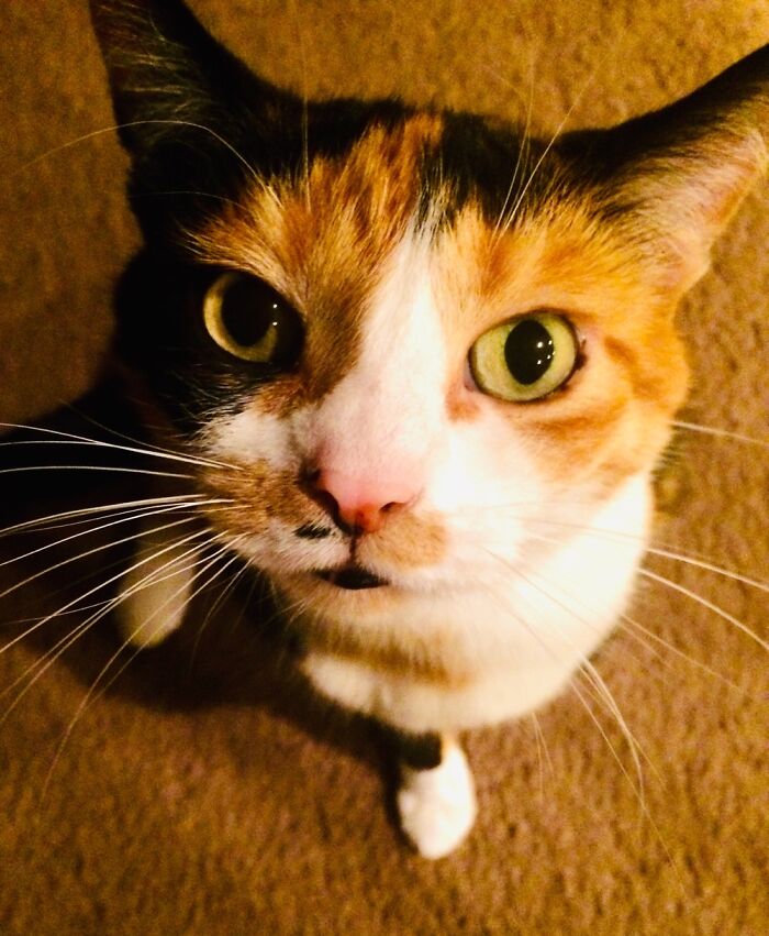 Hey Pandas, Post Your Best Picture From Your Photo Album (Closed) Hey Pandas, Post Your Best Picture From Your Photo Album (Closed)