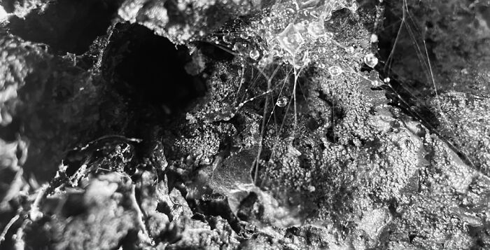 Hey Pandas, Post Your Best Picture From Your Photo Album (Closed) Hey Pandas, Post Your Best Picture From Your Photo Album (Closed)