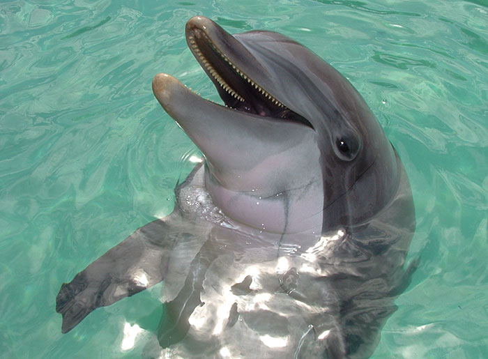 Nothing Went As Planned: 32 Times School Trips Failed So Badly, The Teachers Couldn’t Help But Share It Online Nothing Went As Planned: 32 Times School Trips Failed So Badly, The Teachers Couldn’t Help But Share It Online