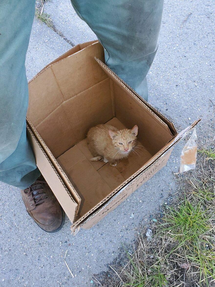 Two Unsuspecting Sanitation Workers Find A Cat In A Garbage Bag, Rescue Him, And Find Him A Shelter Two Unsuspecting Sanitation Workers Find A Cat In A Garbage Bag, Rescue Him, And Find Him A Shelter