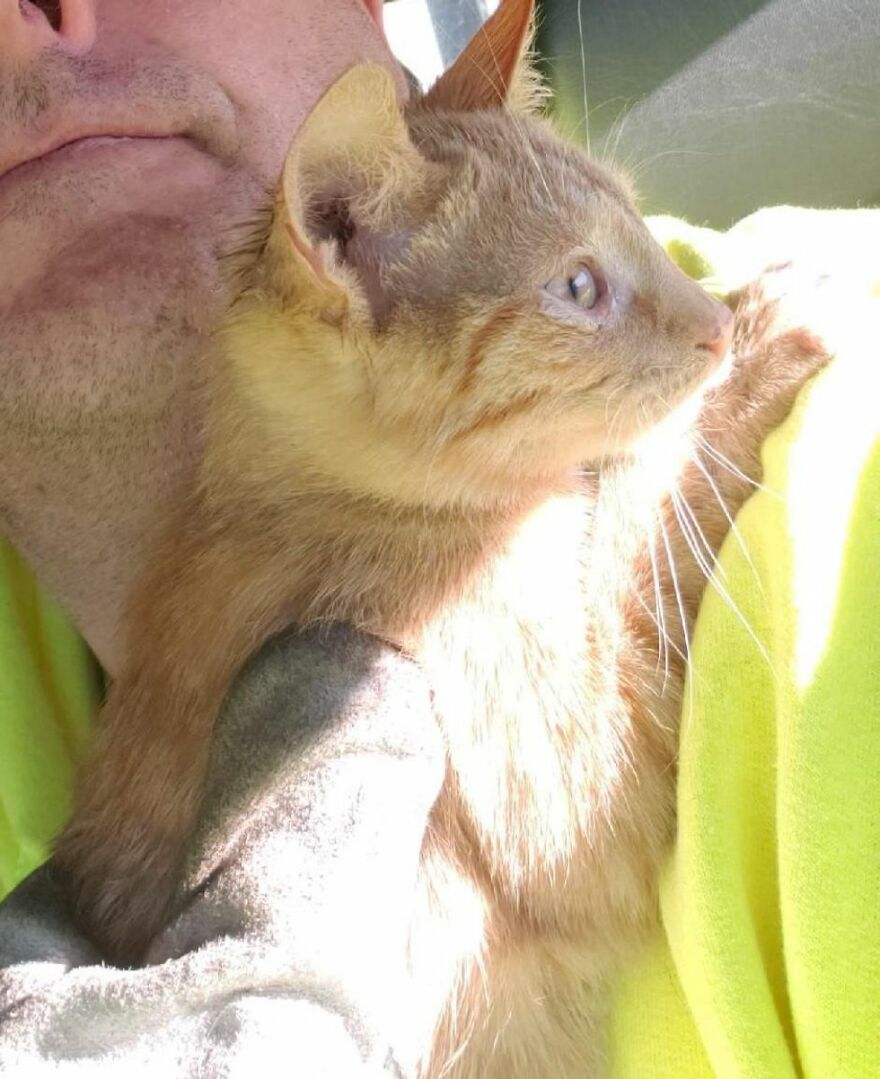 Two Unsuspecting Sanitation Workers Find A Cat In A Garbage Bag, Rescue Him, And Find Him A Shelter Two Unsuspecting Sanitation Workers Find A Cat In A Garbage Bag, Rescue Him, And Find Him A Shelter