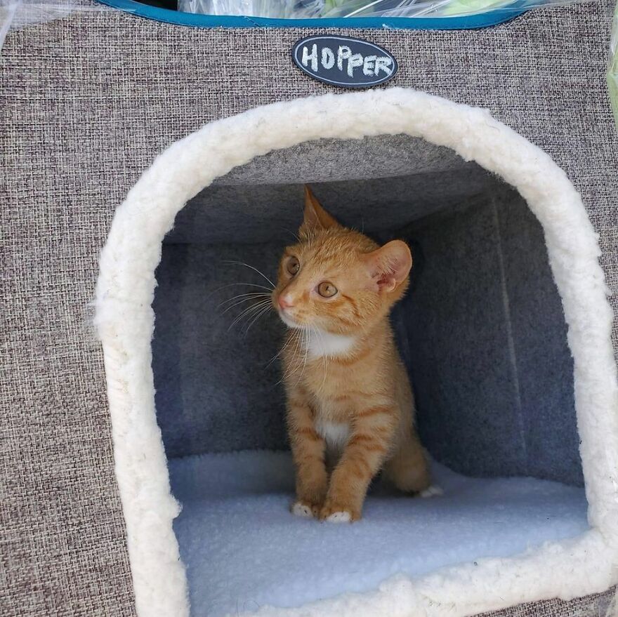 Two Unsuspecting Sanitation Workers Find A Cat In A Garbage Bag, Rescue Him, And Find Him A Shelter Two Unsuspecting Sanitation Workers Find A Cat In A Garbage Bag, Rescue Him, And Find Him A Shelter