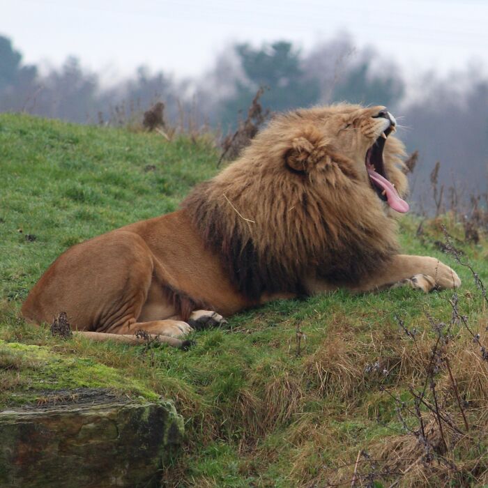 Zookeepers Anonymously Reveal The Darkest Zoo Secrets They Keep Shut Behind Bars (35 Pics) Zookeepers Anonymously Reveal The Darkest Zoo Secrets They Keep Shut Behind Bars (35 Pics)