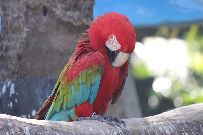 Zookeepers Anonymously Reveal The Darkest Zoo Secrets They Keep Shut Behind Bars (35 Pics) Zookeepers Anonymously Reveal The Darkest Zoo Secrets They Keep Shut Behind Bars (35 Pics)