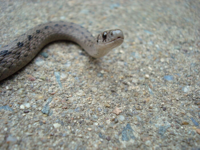 Zookeepers Anonymously Reveal The Darkest Zoo Secrets They Keep Shut Behind Bars (35 Pics) Zookeepers Anonymously Reveal The Darkest Zoo Secrets They Keep Shut Behind Bars (35 Pics)