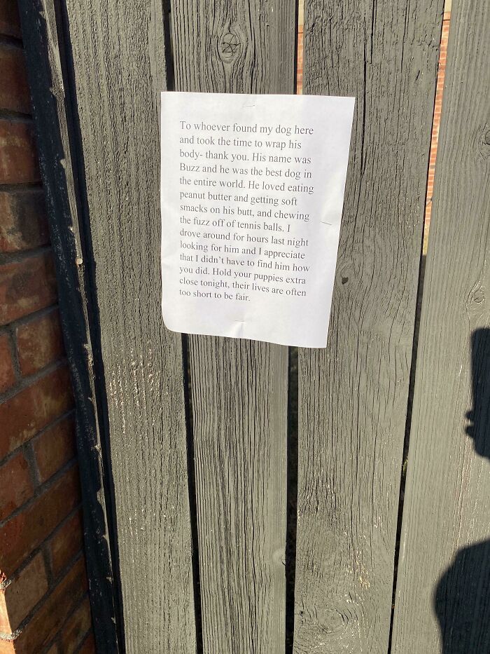 This Online Group Collects Images Of Historical Mementos People Randomly Found And Here’re 30 Of The Most Interesting Ones This Online Group Collects Images Of Historical Mementos People Randomly Found And Here’re 30 Of The Most Interesting Ones