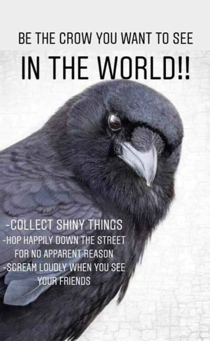 Hey Pandas, Post Your Favorite Animal Memes Here, Or You Could Go Full-On And Create Your Own (Closed) Hey Pandas, Post Your Favorite Animal Memes Here, Or You Could Go Full-On And Create Your Own (Closed)