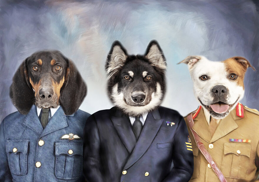 We Make Pet Portraits Created From Your Photos We Make Pet Portraits Created From Your Photos