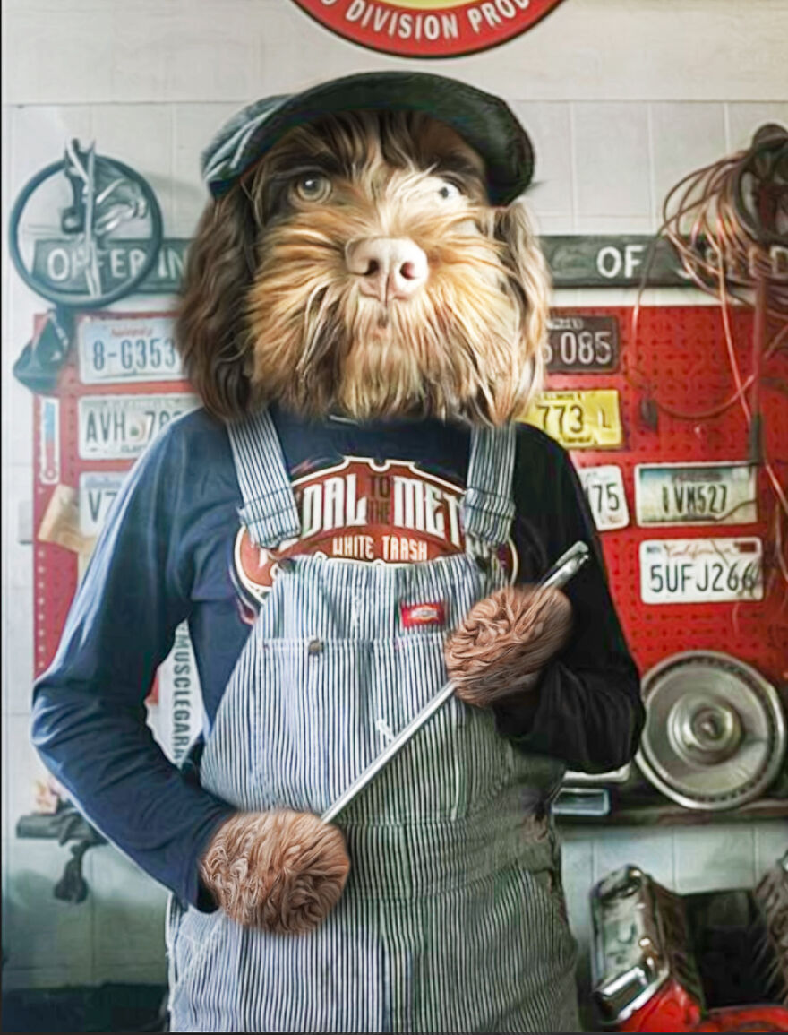 We Make Pet Portraits Created From Your Photos We Make Pet Portraits Created From Your Photos