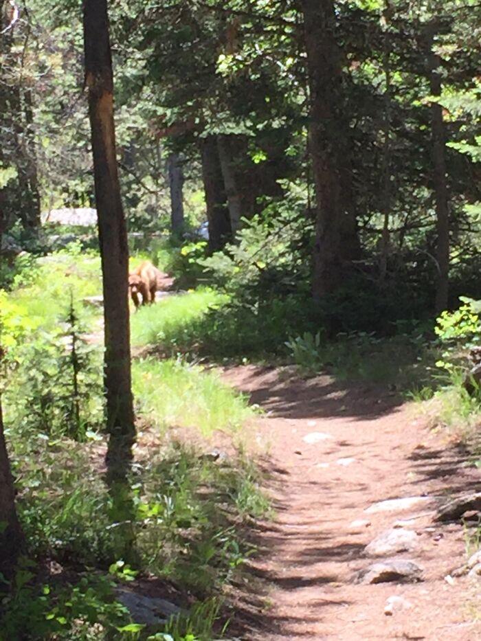 Hey Pandas, Share A Picture You Took (Closed) Hey Pandas, Share A Picture You Took (Closed)