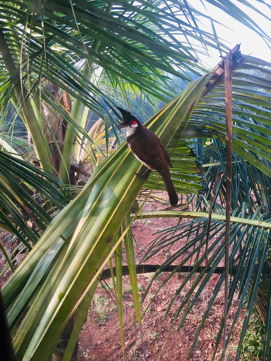 I Discovered The Beauty That&#8217;s Around Us (7 Pics)