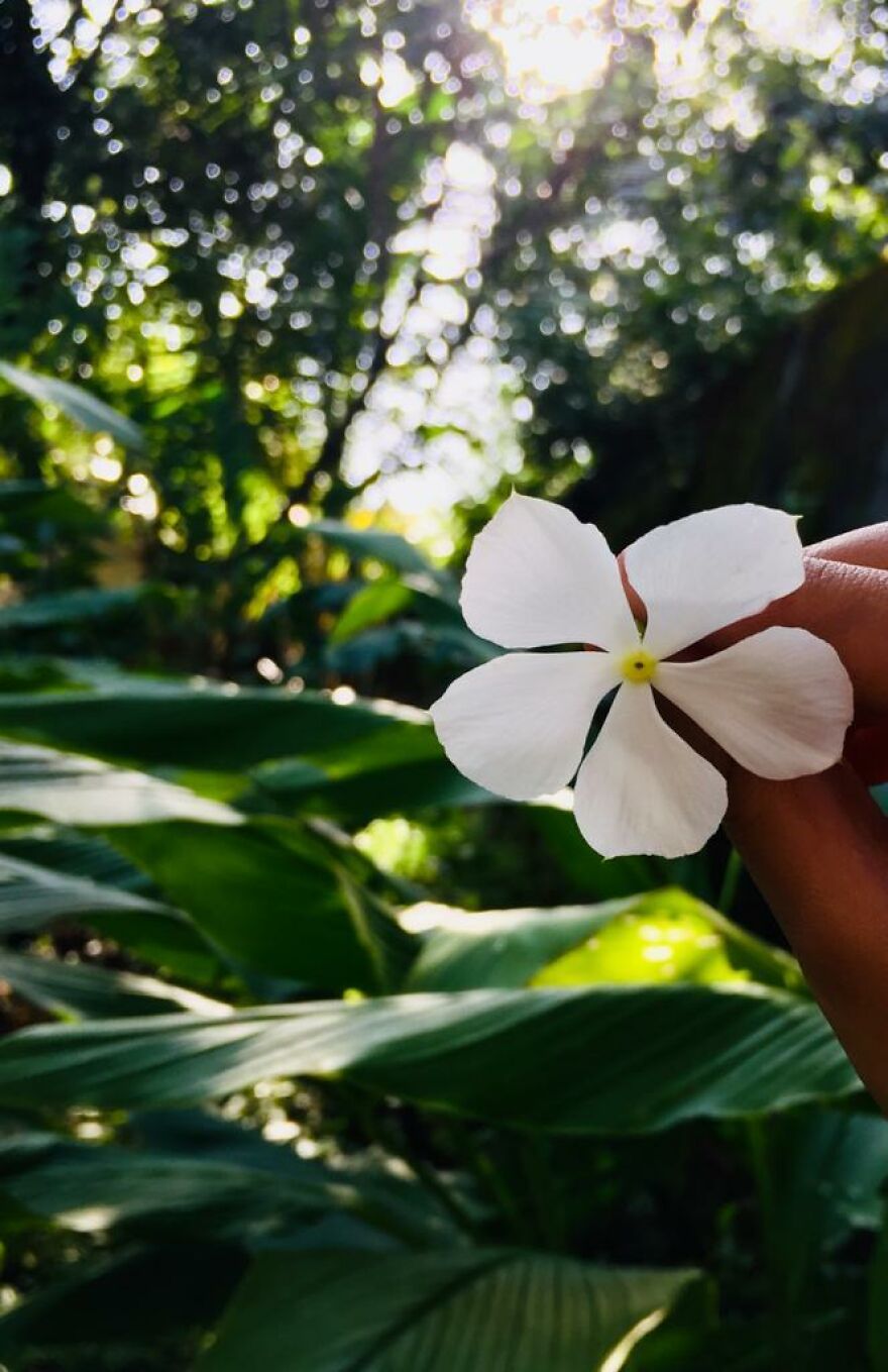 I Discovered The Beauty That&#8217;s Around Us (7 Pics)