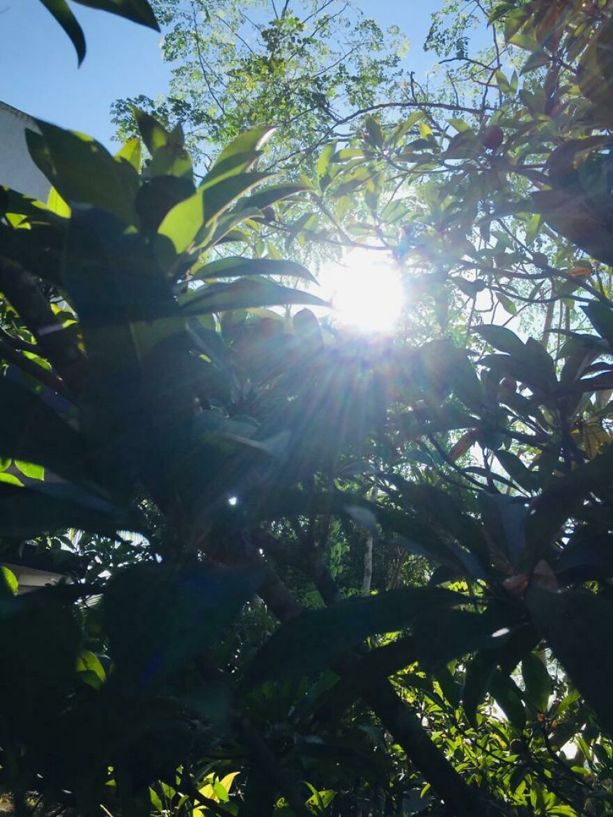 I Discovered The Beauty That&#8217;s Around Us (7 Pics)