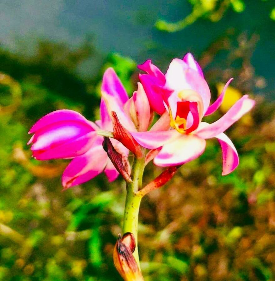 I Discovered The Beauty That&#8217;s Around Us (7 Pics)