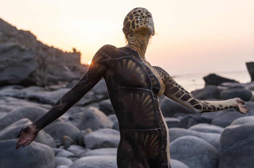 We Created The Memories Of &#8220;Sea Turtle&#8221;