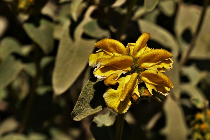 I Explored Poikilo Mountain In Attica Greece (17 Pics)