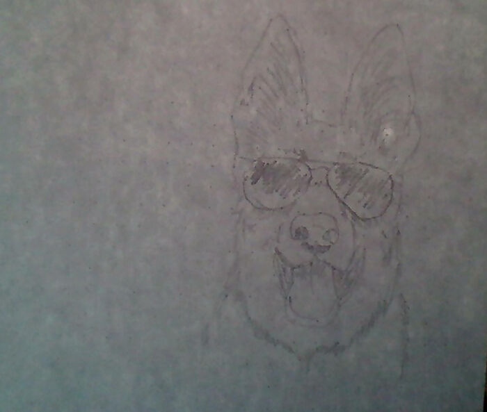 Hey Pandas, Try To Draw An Animal The Best You Can