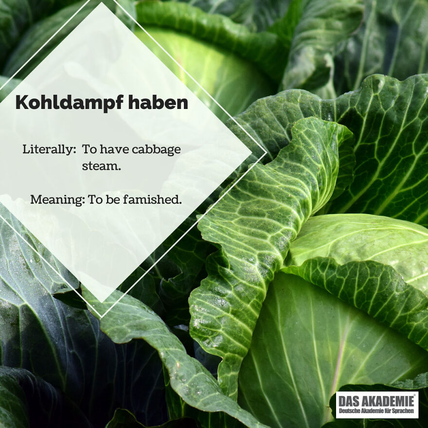 We Looked Into Some Of Germany’s Coolest Redewendungen (Idioms)