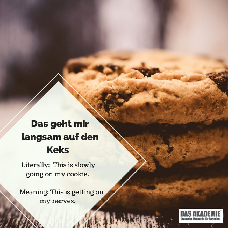 We Looked Into Some Of Germany’s Coolest Redewendungen (Idioms)