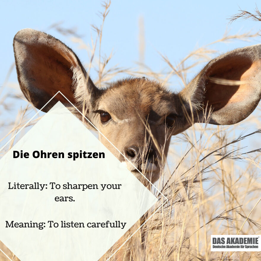 We Looked Into Some Of Germany’s Coolest Redewendungen (Idioms)