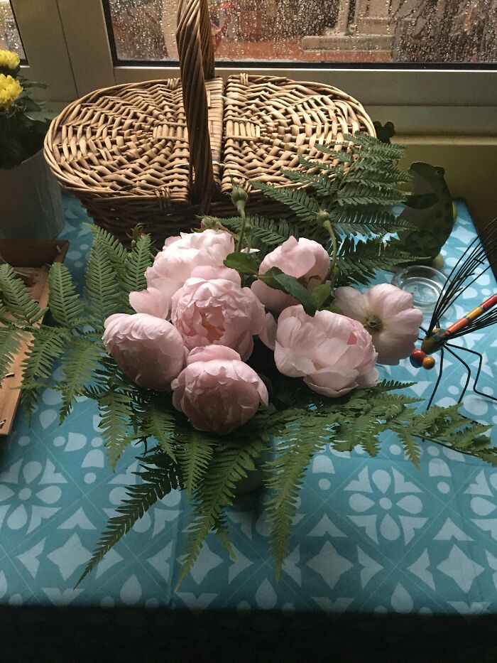 Hey Pandas, Post A Picture Of One Of Your Plants (Closed)