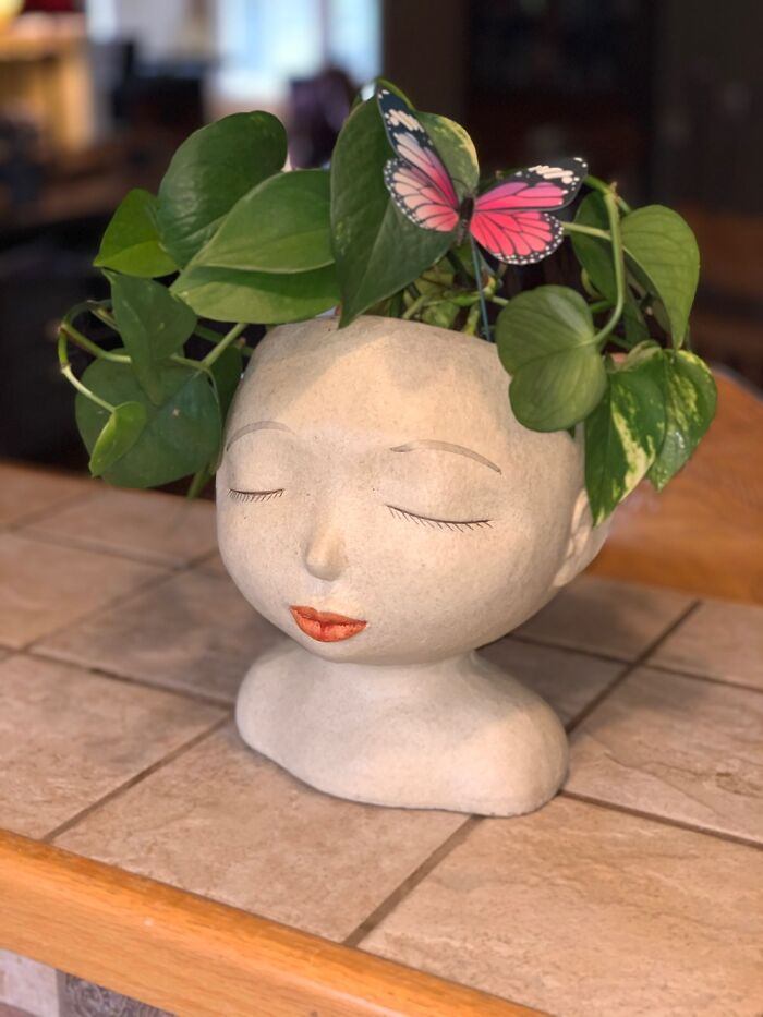 Hey Pandas, Post A Picture Of One Of Your Plants (Closed)