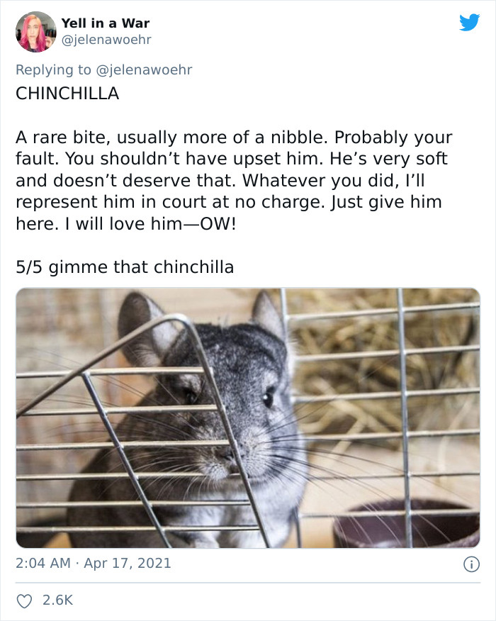 Woman On Twitter Educates People On Getting Bitten By These 20 Different Animals Woman On Twitter Educates People On Getting Bitten By These 20 Different Animals