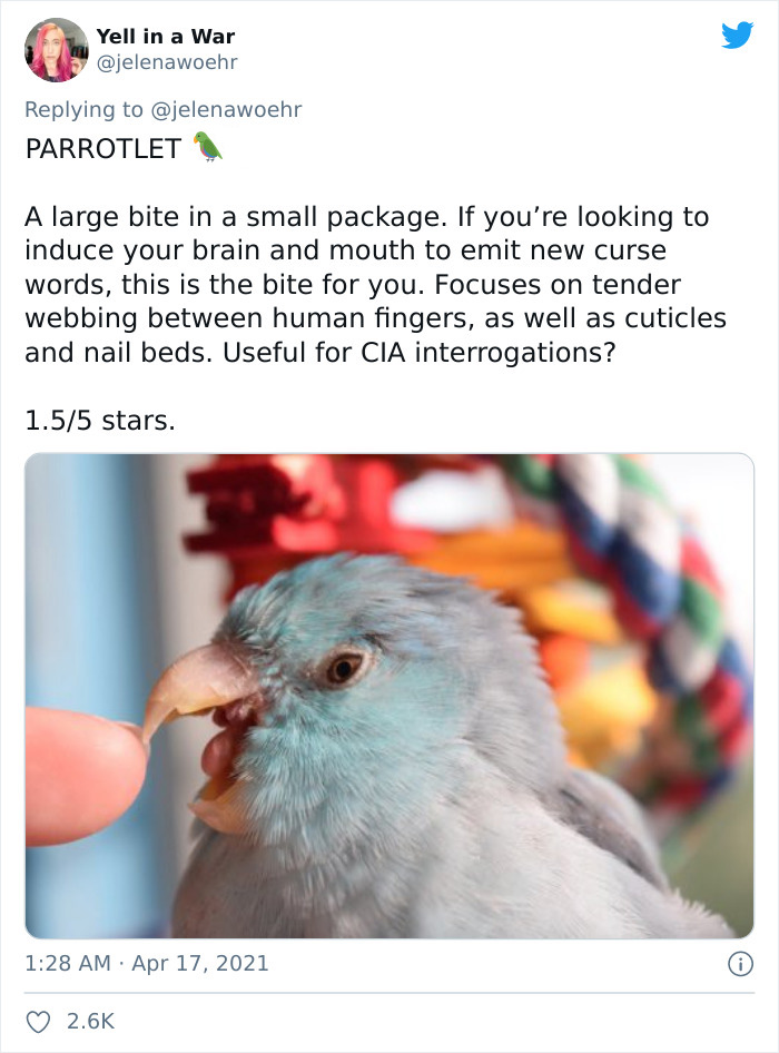 Woman On Twitter Educates People On Getting Bitten By These 20 Different Animals Woman On Twitter Educates People On Getting Bitten By These 20 Different Animals