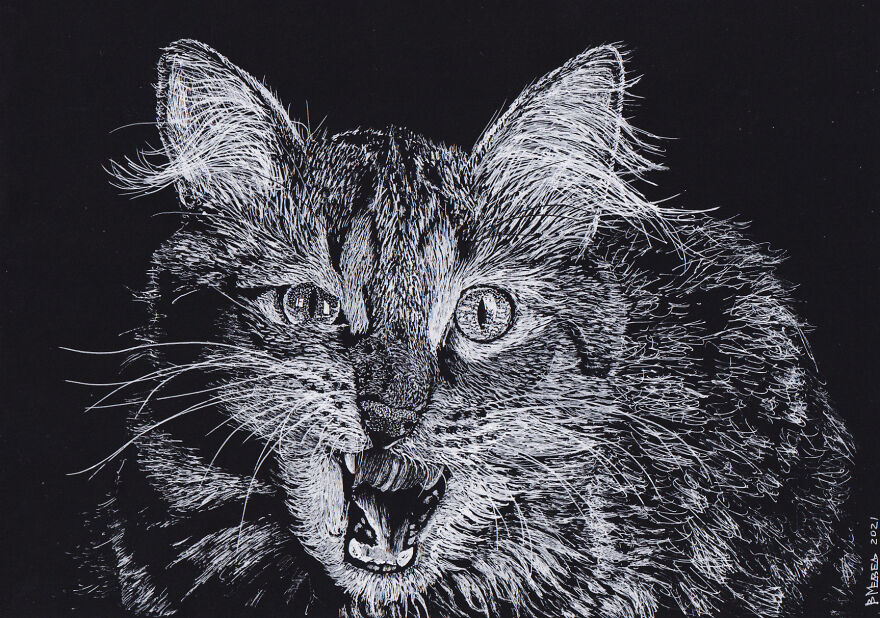 My White Gel Pen Drawings My White Gel Pen Drawings