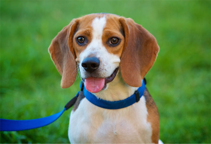 People In This Online Group Share 30 Stories About The Wildest Things Garbage Workers Have Found Thrown Away People In This Online Group Share 30 Stories About The Wildest Things Garbage Workers Have Found Thrown Away