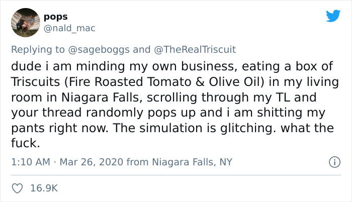 Cracker Brand “Triscuit” Rewarded Man For Explaining The Real Meaning Of Its Name