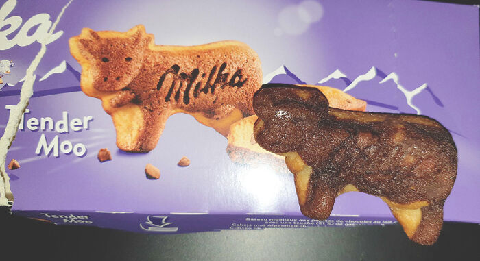 Hey Pandas, Post The Funniest Picture On Your Camera Roll (Closed) Hey Pandas, Post The Funniest Picture On Your Camera Roll (Closed)