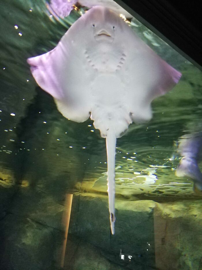 Hey Pandas, Post The Funniest Picture On Your Camera Roll (Closed) Hey Pandas, Post The Funniest Picture On Your Camera Roll (Closed)